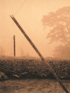 2790 clothes pole in mist